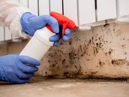 Best Industrial Mold Remediation  in Waverly, NY